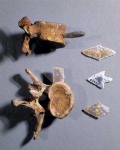 含有史前骨骼的燧石，国家古物博物馆。 作者 史前史前