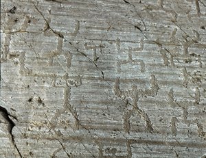 史前史、卡蒙尼文明、岩石艺术：一块墓碑，上面有被称为“orants”的人物的程式化表现，双臂伸向天空。 介于新石器时代和青铜时代之间。 罗氏 50. Naquane (Brescia) Capo di Ponte, Pa 作者 史前史前