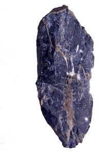 史前时期。始生代或前寒武纪时期（Archaic）的叠层石或叠层岩类型的Collenia岩石碎片。来自美国。 作者 史前史前