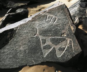 史前史，岩画：代表牛的严肃岩石。 塔兹娜风格。 石器时代 5000-2000 BC。 Taghit，Haut 高原 du Hoggar (Ahaggar)，阿尔及利亚 作者 史前史前