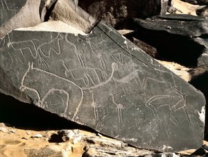 史前史，岩石艺术：描绘狮子、羚羊、鸵鸟和牛的墓碑。 石器时代 5000-2000 BC。 Taghit，Haut 高原 du Hoggar，阿尔及利亚 作者 史前史前