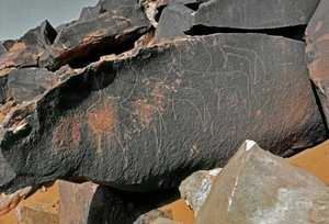 史前，岩画：表现牛的墓岩。塔兹纳风格。石器时代，公元前5000-2000年。阿尔及利亚Haut plateau du Hoggar (Ahaggar), Taghit. 作者 史前史前