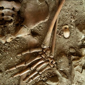 Prehistory: teenage sepulture. Detail view of the funeral trousseau from the cave of Candid Arene (Finale Ligure), Liguria. Upper Paleolithic, 24000 BC. Genes, museo di archeologia ligure 作者 史前史前