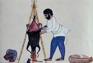 屠夫，约1890年（纸上水彩）。 作者 旁遮普学校