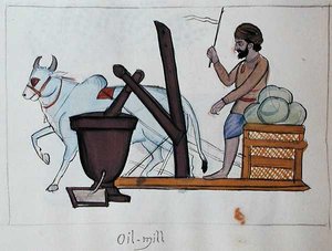 油磨坊，约1890年（纸上水彩）。 作者 旁遮普学校