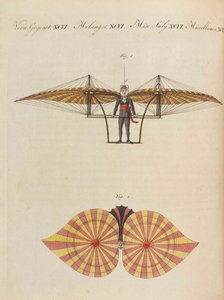 儿童图画书 儿童百科全书，作者：弗里德里希-约翰-贾斯汀-贝尔图赫，1798-1830。