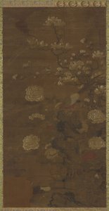 木兰，牡丹和野鸡