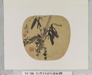 竹子 作者 曲应绍