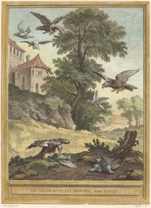 秃鹰和鸽子 作者 让·巴蒂斯特·乌德里 (Jean Baptiste Oudry) 之后的昆汀·皮埃尔·切德尔