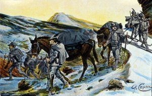 第一次世界大战：1915年，一群意大利阿尔卑斯山猎人带着他们的骡子在认人。Quinto Cenni（1845-1917）的插图 作者 昆图森尼