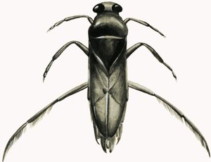 水上船夫（纸上水粉画）