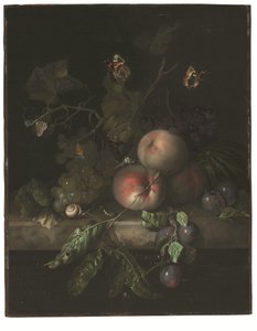 桃子、葡萄和李子，石台上有蜻蜓、蜗牛、毛毛虫、飞蛾和其他昆虫 作者 雷切尔·鲁伊施