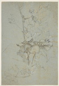 植物研究 作者 Rachel Ruysch