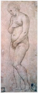 金星的研究，c1500-1520 作者 拉斐尔（Raffaello Sanzio Raphael）