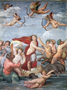 加拉太的胜利c。 1512 作者 拉斐尔（Raffaello Sanzio Raphael）
