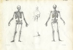 人类，1863-79 作者 雷蒙多·彼得罗亚