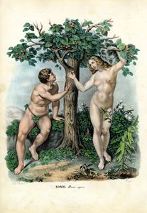 人类种族，1863-79 作者 雷蒙多·彼得罗亚