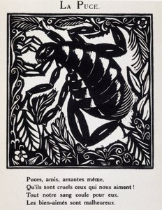 La puce - 在纪尧姆-阿波利奈尔（1877 - 1953 年）的《Le Bestiaire ou cortege d