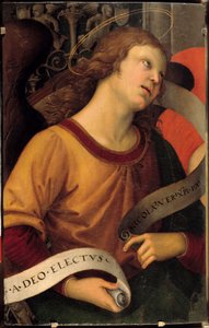 一个天使。 巴伦奇祭坛画的碎片。 Raffaello Sanzio dit Raphael (1483-1520) 的绘画 作者 拉斐尔