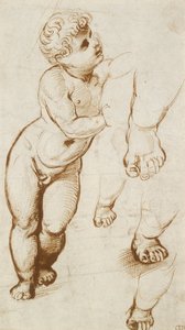 直立式。婴儿基督和其他研究，1500-1520年 作者 拉斐尔