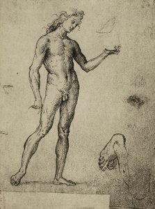 男性裸体研究;拉斐尔画的。 Gallerie dellAccademia，威尼斯