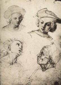 研究四个男性面孔;拉斐尔画的。 Gallerie dellAccademia，威尼斯 作者 Raffaello Sanzio Raphael