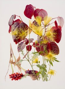 Ukon tachibana（纸面油画） 作者 雷蒙德·布斯