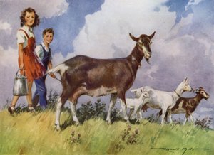 我的农场插图（彩色平版印刷） 作者 雷金纳米尔斯