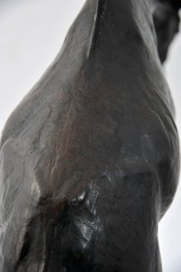 降低头部的大型长颈鹿，模型于1909-10，铸造于1913年之前（青铜）（另请参阅3084917-43） 作者 伦勃朗·布加迪
