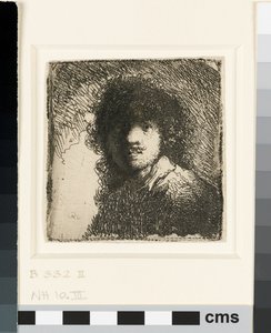 光头的自画像：半身像，约1629年（蚀刻） 作者 伦勃朗·范·赖恩