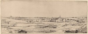 面向哈勒姆的风景画 《金威格的土地》，1651年。 作者 伦勃朗·范·赖恩