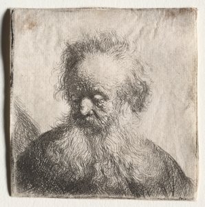 留着胡须的老人：胸围，1631年。 作者 伦勃朗·范·赖恩