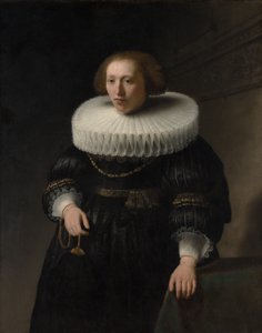 女人的肖像，可能是范·贝雷斯特恩家族的成员，1632年。 作者 伦勃朗·范·赖恩