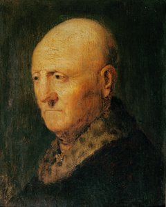 一位老人的肖像，被称为Hermann Gerritsz van Rijn的肖像，伦勃朗的父亲（木材上的油）