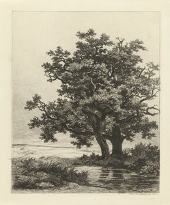 湖边的两棵橡树 作者 雷米纽斯·阿德里安·哈南（Remigius Adrianus Haanen）