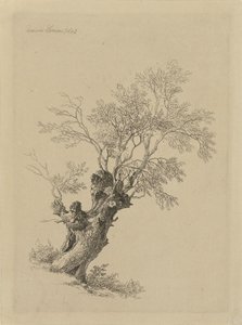 柳树 作者 雷米纽斯·阿德里安·哈南（Remigius Adrianus Haanen）