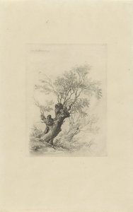 柳树 作者 雷米纽斯·阿德里安·哈南（Remigius Adrianus Haanen）