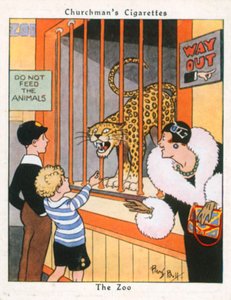 动物园》（彩色印刷版）