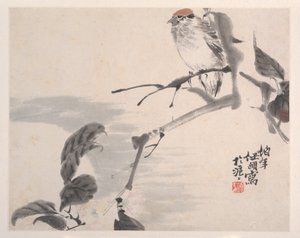 动物，花卉和鸟类，十九世纪。
