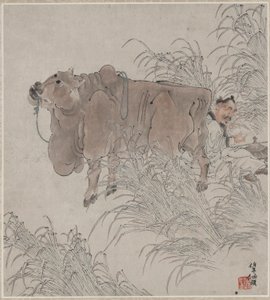 在牛旁读书