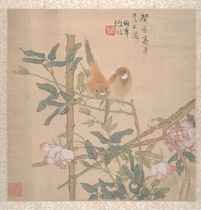 十九世纪末期，两只鸟栖息在开花的玫瑰丛中。
