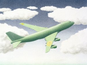 高度 作者 勒内·博安