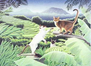 巴厘岛，2002 年，纸上彩色铅笔画