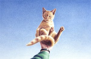 一把 作者 勒内·博安