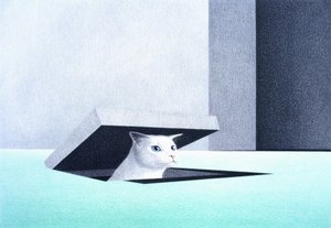 舱口 作者 勒内·博安