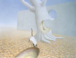 洞 作者 勒内·博安