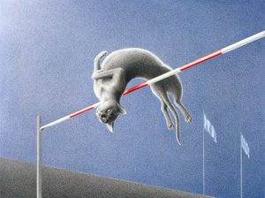 跳转 作者 勒内·博安