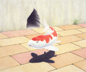 锦鲤 作者 勒内·博安