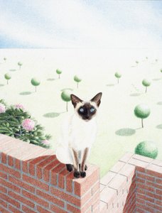 清酒 作者 勒内·博安