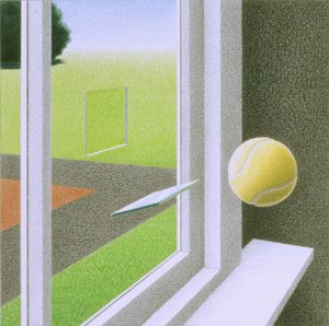 窗户 作者 勒内·博安